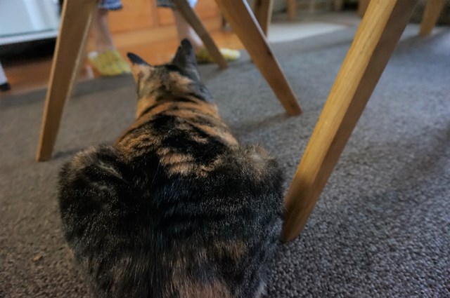 f:id:hiraryo0201:20170730172839j:plain f:id:hiraryo0201:20170730172839j:plain