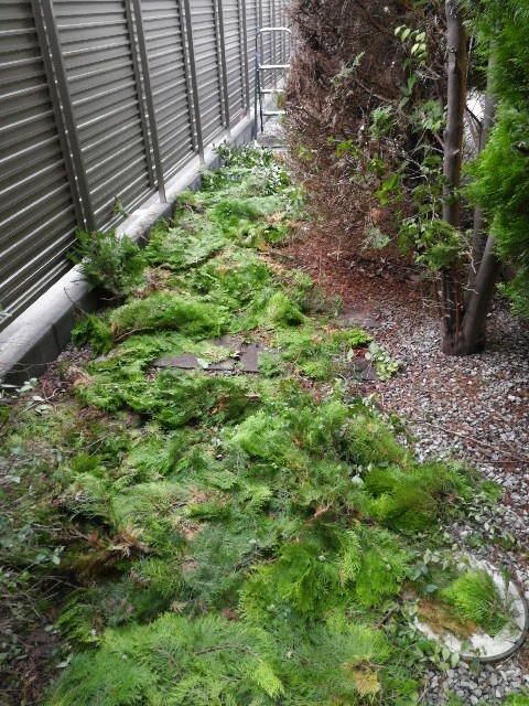 f:id:hiraryo0201:20170731202425j:image