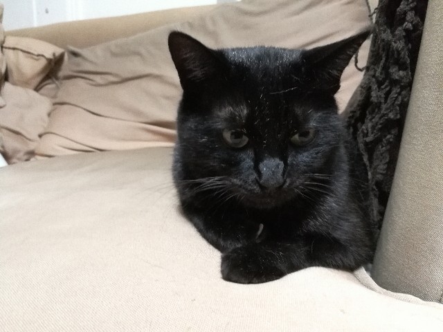 f:id:hiraryo0201:20170731203206j:image f:id:hiraryo0201:20170731203206j:image