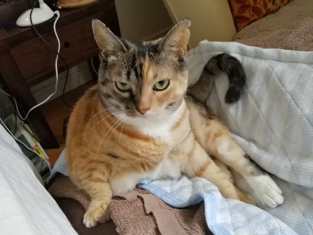 f:id:hiraryo0201:20170731203258j:image f:id:hiraryo0201:20170731203258j:image