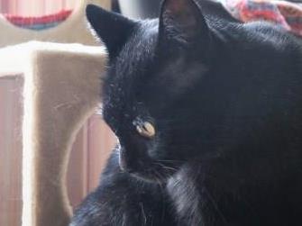 f:id:hiraryo0201:20170809192014j:plain f:id:hiraryo0201:20170809192014j:plain