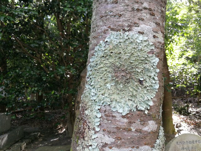 f:id:hiraryo0201:20170814114817j:plain