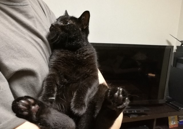 f:id:hiraryo0201:20170814224615j:image