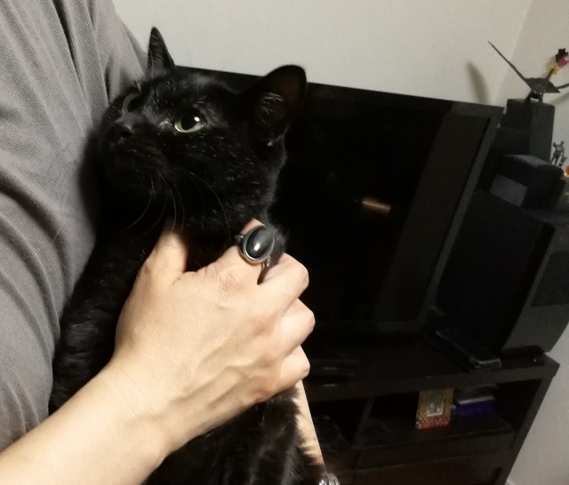 f:id:hiraryo0201:20170814224639j:image