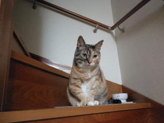 f:id:hiraryo0201:20170814225751j:image