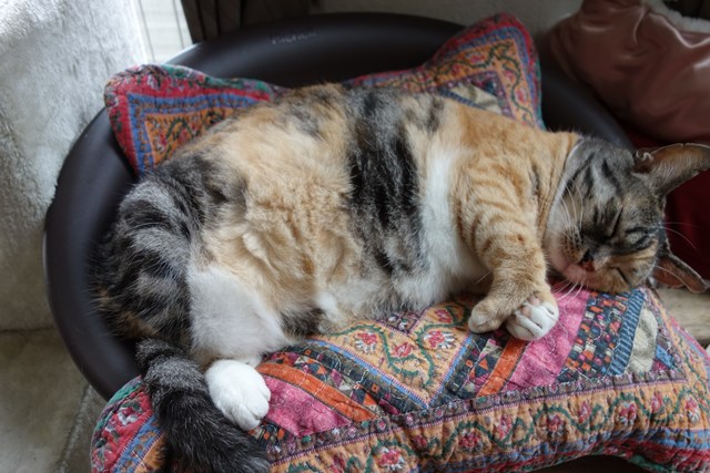 f:id:hiraryo0201:20170816164904j:plain