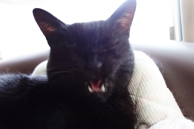 f:id:hiraryo0201:20170816165228j:plain