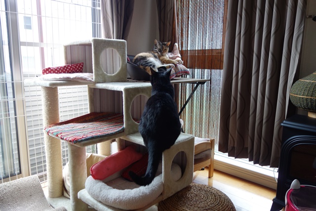 f:id:hiraryo0201:20170905191621j:plain f:id:hiraryo0201:20170905191621j:plain