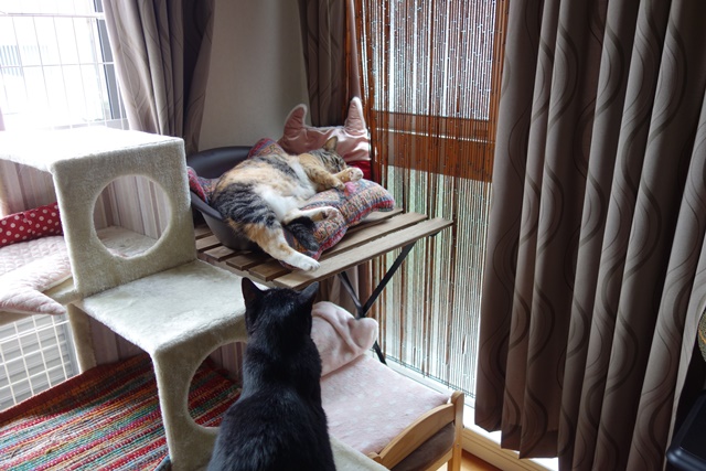 f:id:hiraryo0201:20170905191629j:plain f:id:hiraryo0201:20170905191629j:plain