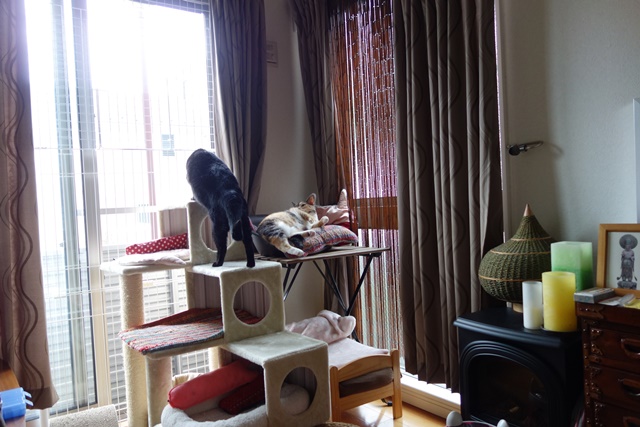 f:id:hiraryo0201:20170905191650j:plain f:id:hiraryo0201:20170905191650j:plain