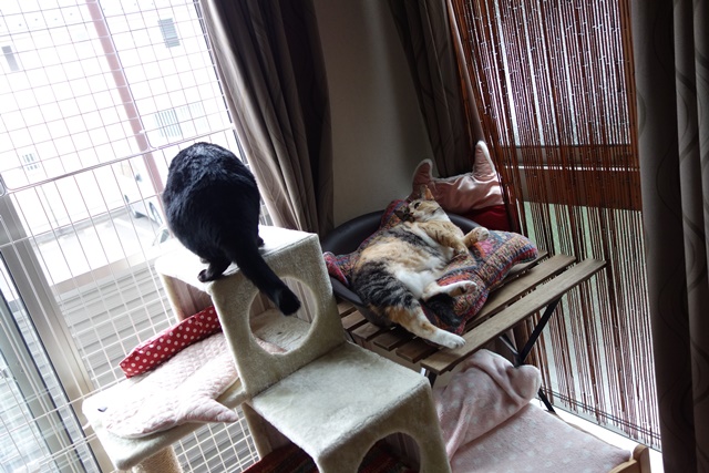 f:id:hiraryo0201:20170905191706j:plain f:id:hiraryo0201:20170905191706j:plain