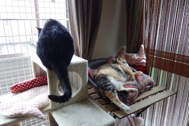 f:id:hiraryo0201:20170905191713j:plain f:id:hiraryo0201:20170905191713j:plain