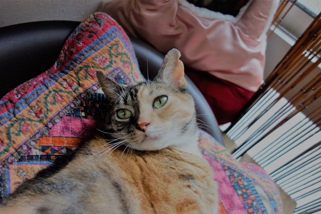 f:id:hiraryo0201:20170905191728j:plain f:id:hiraryo0201:20170905191728j:plain