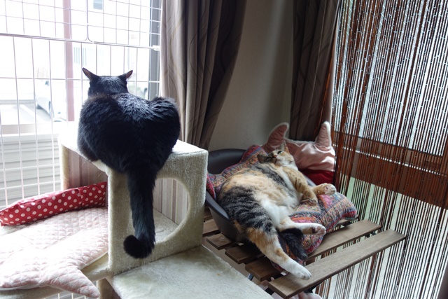 f:id:hiraryo0201:20170905191738j:plain f:id:hiraryo0201:20170905191738j:plain