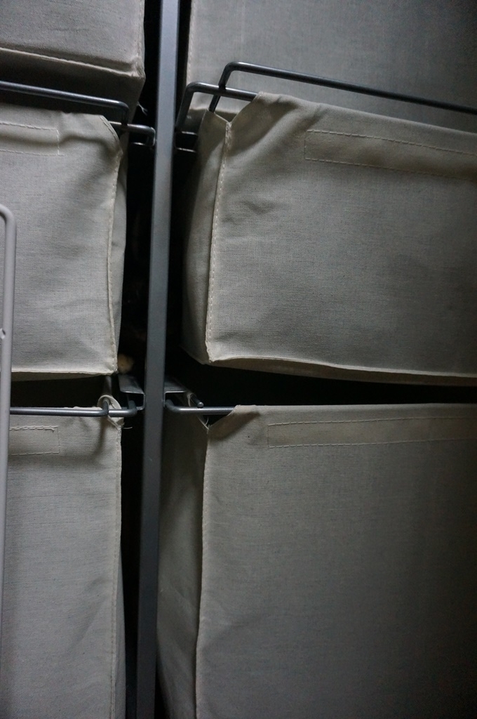 f:id:hiraryo0201:20170924083315j:plain f:id:hiraryo0201:20170924083315j:plain