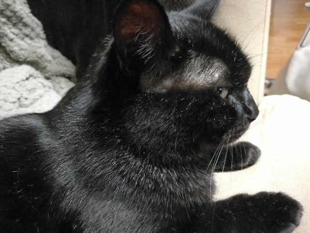 f:id:hiraryo0201:20170924102413j:image f:id:hiraryo0201:20170924102413j:image