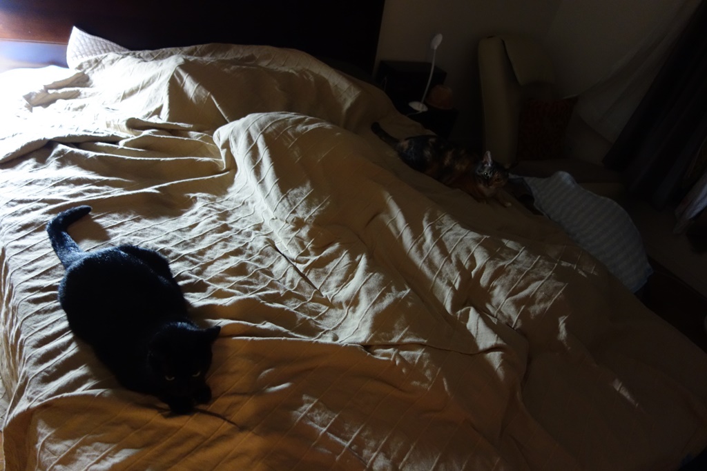 f:id:hiraryo0201:20170924110036j:plain f:id:hiraryo0201:20170924110036j:plain