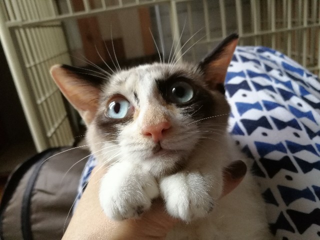 f:id:hiraryo0201:20170925185543j:image f:id:hiraryo0201:20170925185543j:image