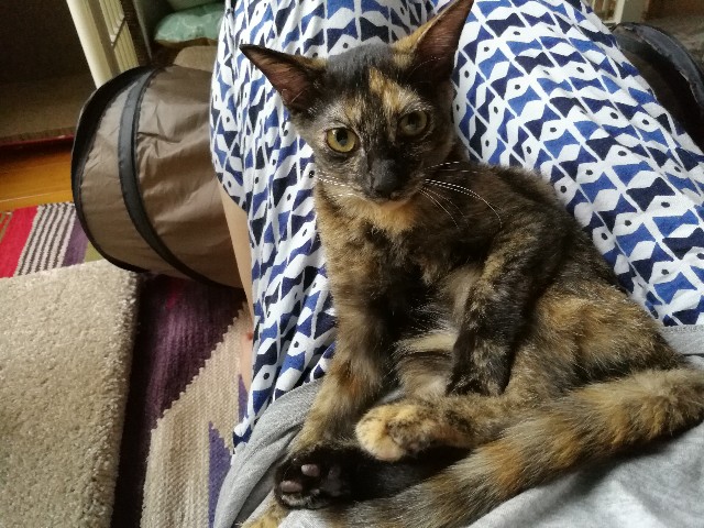 f:id:hiraryo0201:20170925185626j:image f:id:hiraryo0201:20170925185626j:image