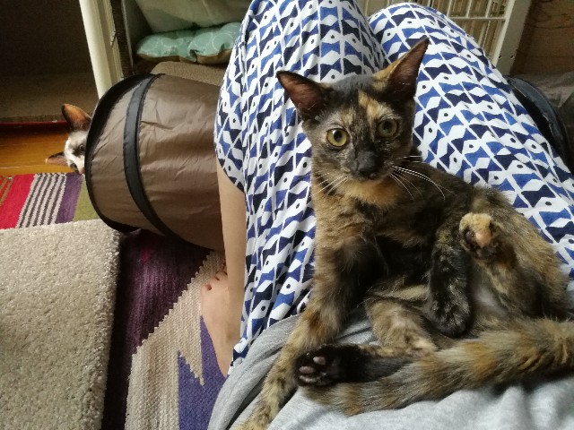 f:id:hiraryo0201:20170925185654j:image f:id:hiraryo0201:20170925185654j:image