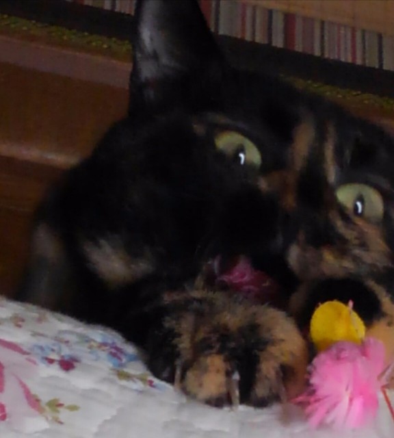 f:id:hiraryo0201:20170926192411j:image f:id:hiraryo0201:20170926192411j:image