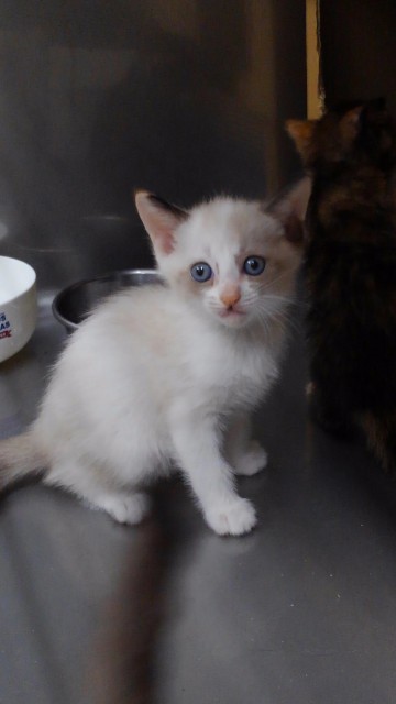 f:id:hiraryo0201:20170926192647j:image f:id:hiraryo0201:20170926192647j:image