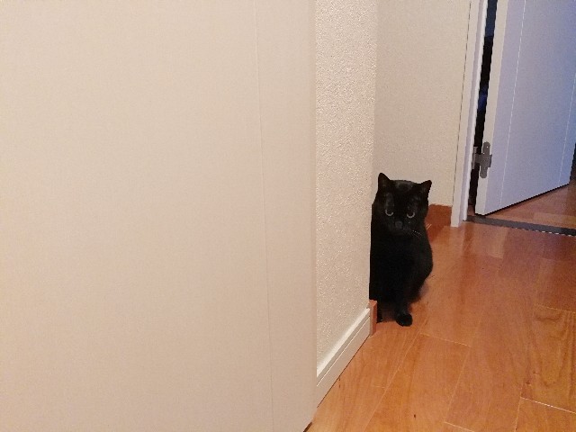 f:id:hiraryo0201:20170928124348j:image