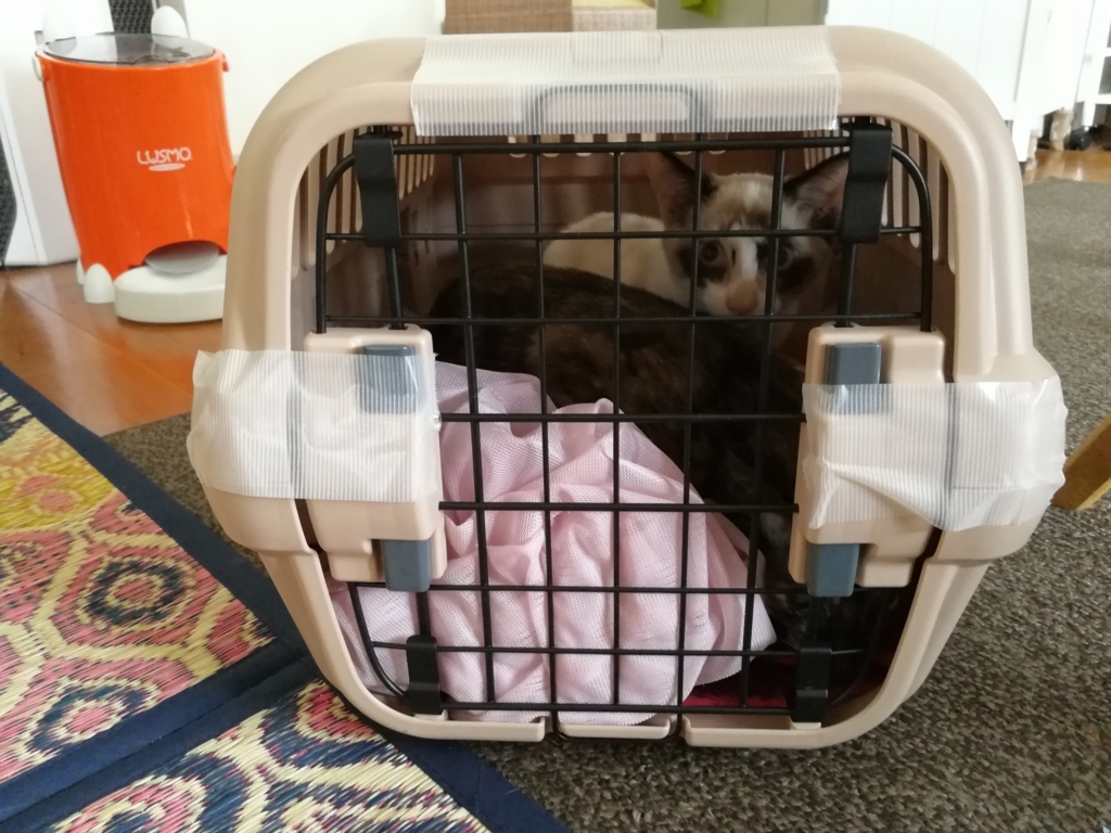 f:id:hiraryo0201:20170930185446j:plain