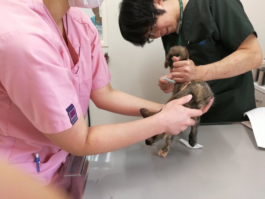 f:id:hiraryo0201:20170930185508j:plain