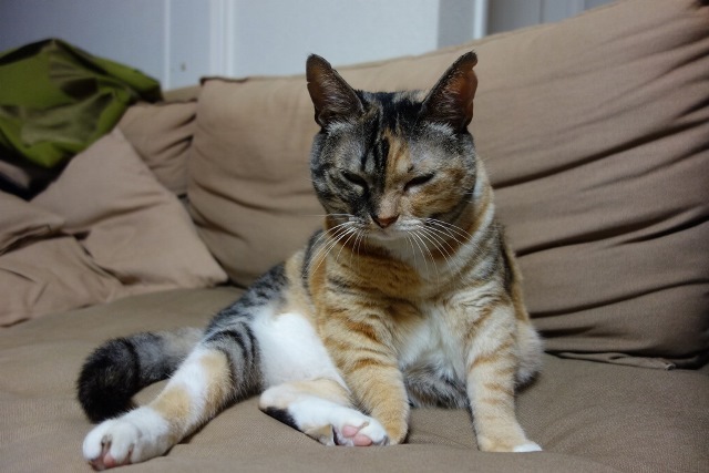 f:id:hiraryo0201:20171001030424j:plain f:id:hiraryo0201:20171001030424j:plain