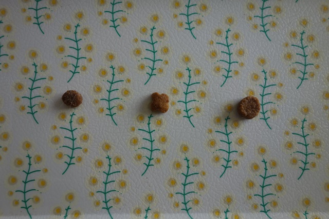 f:id:hiraryo0201:20171001104732j:plain f:id:hiraryo0201:20171001104732j:plain