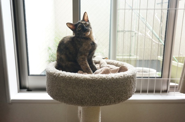 f:id:hiraryo0201:20171001121025j:plain f:id:hiraryo0201:20171001121025j:plain