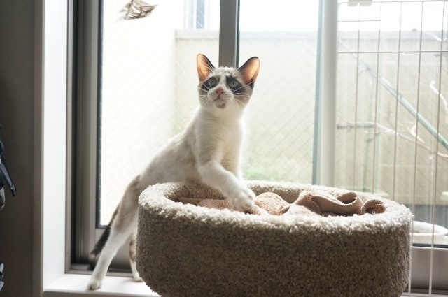 f:id:hiraryo0201:20171001121044j:plain f:id:hiraryo0201:20171001121044j:plain