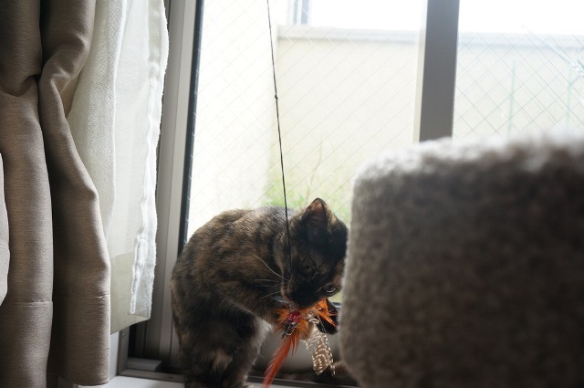 f:id:hiraryo0201:20171001124853j:plain f:id:hiraryo0201:20171001124853j:plain