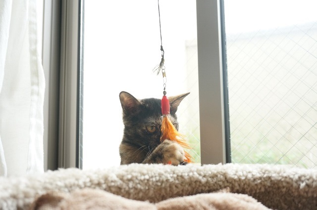 f:id:hiraryo0201:20171001124916j:plain f:id:hiraryo0201:20171001124916j:plain