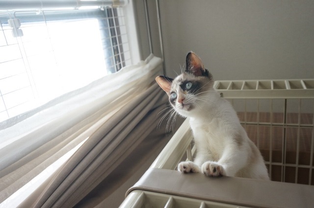 f:id:hiraryo0201:20171001124958j:plain f:id:hiraryo0201:20171001124958j:plain