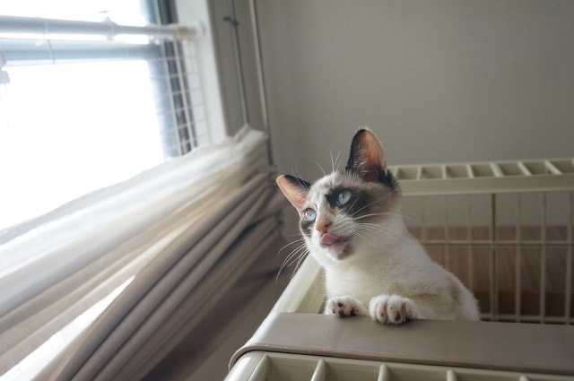 f:id:hiraryo0201:20171001125043j:plain f:id:hiraryo0201:20171001125043j:plain