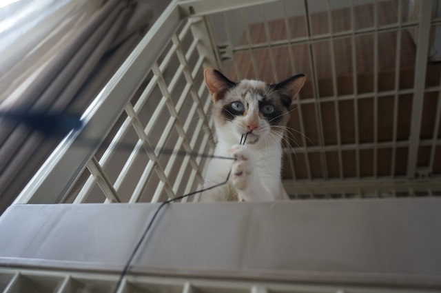 f:id:hiraryo0201:20171001125126j:plain f:id:hiraryo0201:20171001125126j:plain