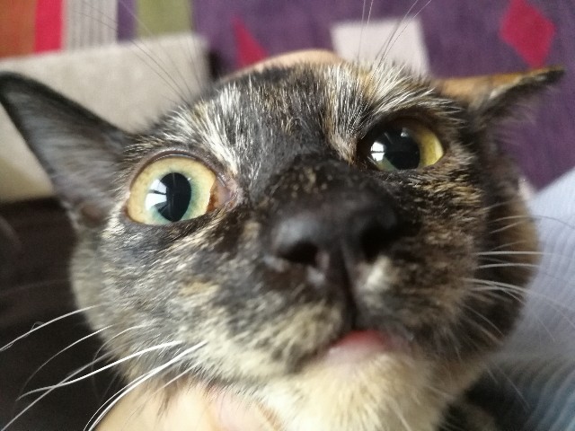 f:id:hiraryo0201:20171002185028j:image f:id:hiraryo0201:20171002185028j:image