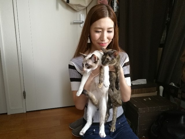 f:id:hiraryo0201:20171009083434j:plain