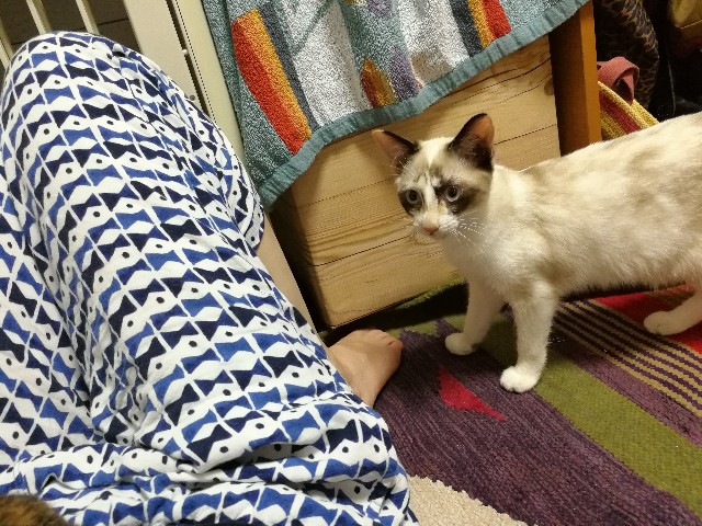 f:id:hiraryo0201:20171012215219j:image