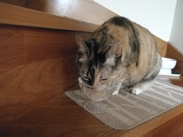 f:id:hiraryo0201:20171013191932j:image