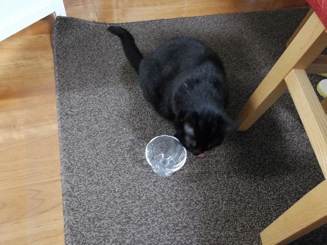 f:id:hiraryo0201:20171013192040j:image