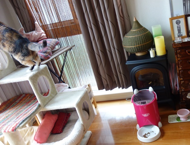 f:id:hiraryo0201:20171014103524j:plain f:id:hiraryo0201:20171014103524j:plain