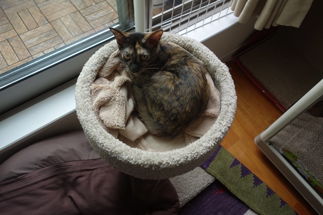 f:id:hiraryo0201:20171014103536j:plain f:id:hiraryo0201:20171014103536j:plain