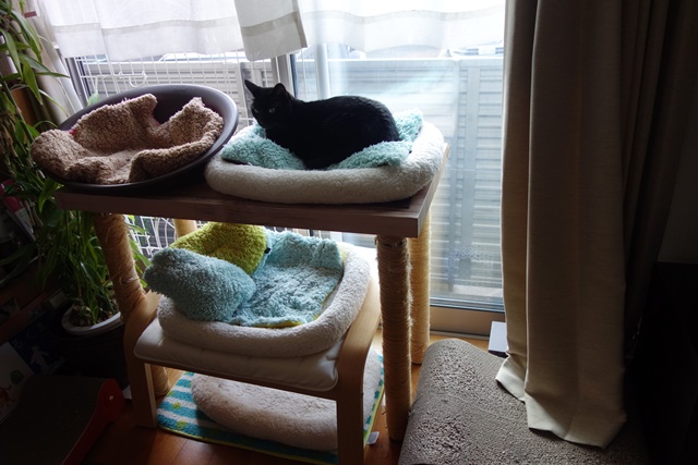 f:id:hiraryo0201:20171014105537j:plain f:id:hiraryo0201:20171014105537j:plain