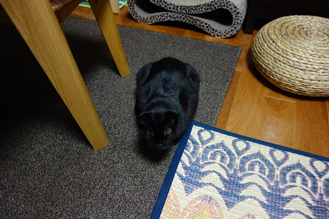 f:id:hiraryo0201:20171014111255j:plain