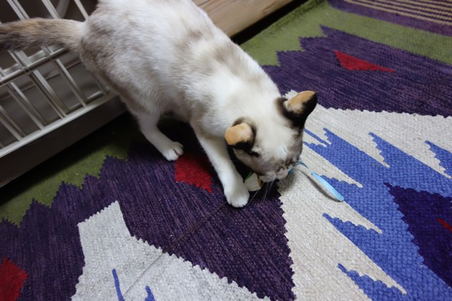 f:id:hiraryo0201:20171014140552j:plain f:id:hiraryo0201:20171014140552j:plain