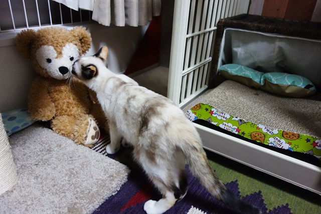 f:id:hiraryo0201:20171014140617j:plain f:id:hiraryo0201:20171014140617j:plain