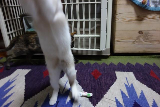 f:id:hiraryo0201:20171014140635j:plain f:id:hiraryo0201:20171014140635j:plain